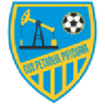 Petrolul Potcoava logo