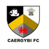 Caergybi logo