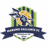 Marumo Gallants U23 logo