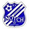 Notch logo
