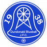 Dundonald Bluebell logo