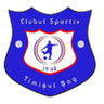 Timişul Şag logo