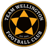 Team Wellington logo
