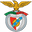 Arronches e Benfica