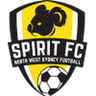 NWS Spirit logo