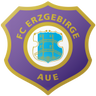 Erzgebirge Aue U19 logo