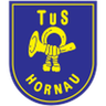Hornau logo
