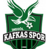 İnegöl Kafkas Gençlik logo