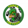 Voința Crevedia logo