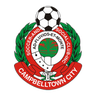 Campbelltown City logo