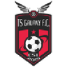 TS Galaxy logo