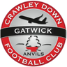 Crawley Down Gatwick logo