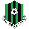 Rokycany logo