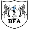 Black Lions logo