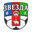 Zvezda Perm