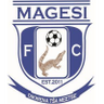 Magesi logo