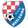 Moslavina logo