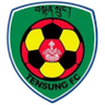 Tensung logo