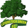 Leverstock Green logo