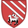 Droylsden logo