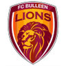 Bulleen Lions logo