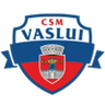 CSM FC Vaslui logo