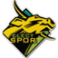 Elect-Sport