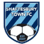 Shaftesbury Town