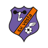 VESTA logo