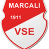 Marcali VFC logo