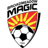 Broadmeadow Magic logo