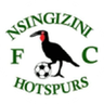 Nsingizini Hotspurs logo
