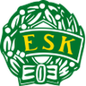 Enköping logo