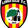 Lingfield logo
