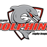Redcliffe Dolphins logo