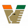 Venezia U19 logo