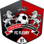 Fleury 91