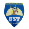 US Tchologo logo