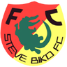 Steve Biko logo