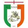 CD IN San Juan FC logo