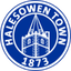Halesowen Town