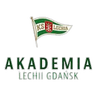 Akademia Piłkarska LG W logo