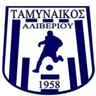 Tamynaikos Aliveriou logo