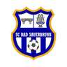 Bad Sauerbrunn logo