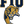 FIU Panthers