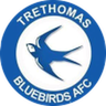 Trethomas Bluebirds logo
