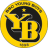 Young Boys W logo