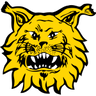 Ilves-Kissat juniorit logo