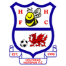 Holyhead Hotspur logo