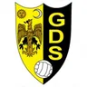Sourense logo